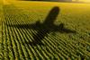 Shadow,Of,The,Plane,On,The,Agricultural,Field.,Concept,Of