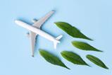 Sustainable,Aviation,Fuel.,White,Airplane,Model,Fresh,Green,Leaves,On