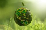 shutterstock_2236679979