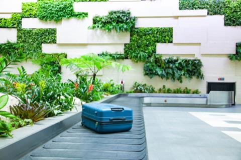 Suitcase,On,A,Conveyor,Belt,Surrounded,By,Green,Tropical,Plants