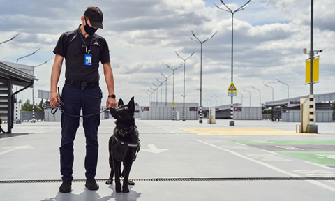 shutterstock_1999332782