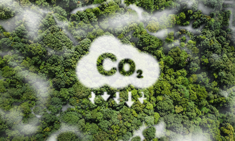 shutterstock_2195857605